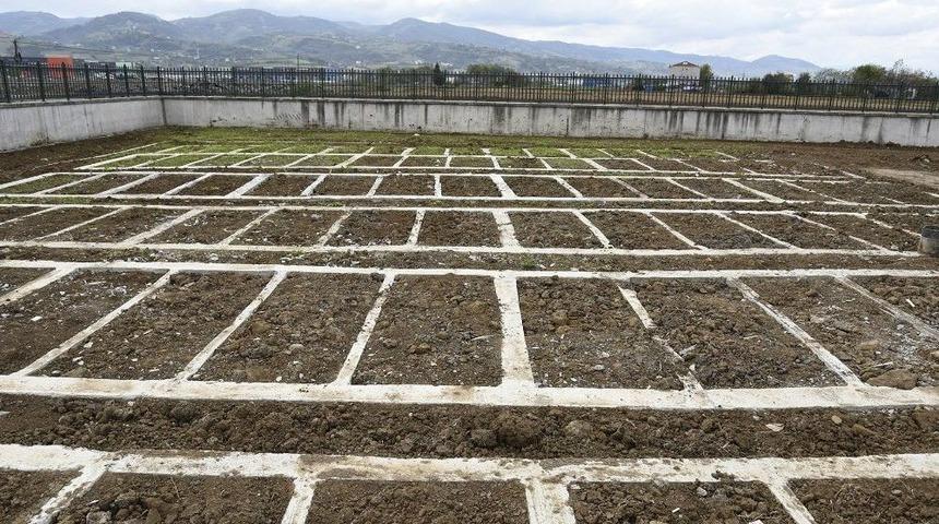 Tekkek&ouml;y&rsquo;de Mezarlık Yeri Sorunu &Ccedil;&ouml;z&uuml;ld&uuml;