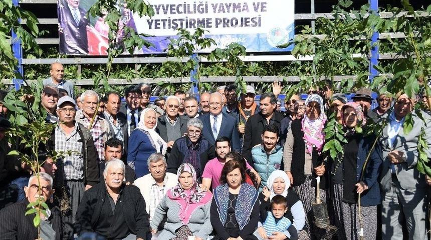 B&uuml;y&uuml;kşehir&rsquo;den 14 Mahalleye 12 Bin Ceviz Fidanı