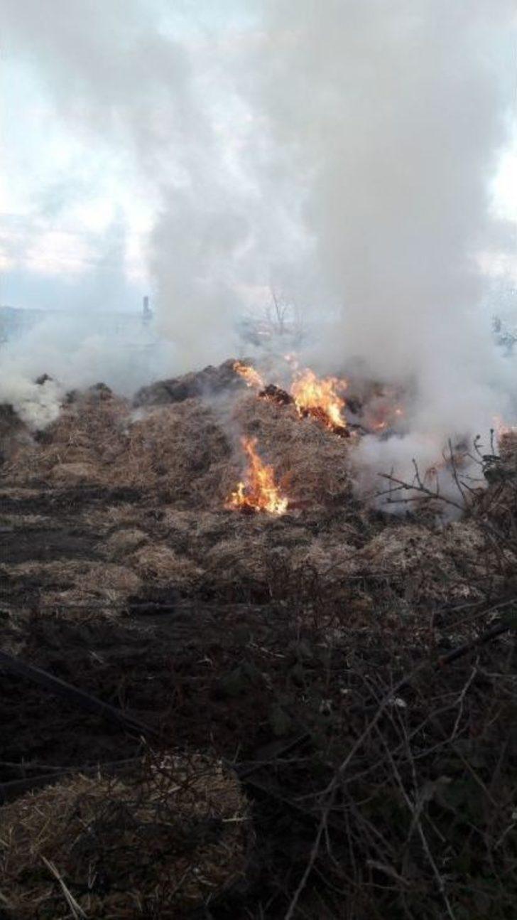 Bin 500 Saman Balyası Yandı G3