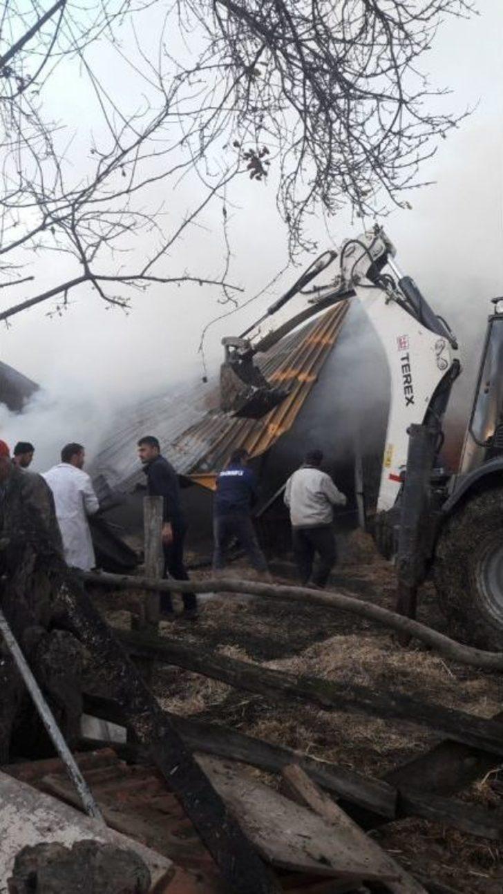 Bin 500 Saman Balyası Yandı G4