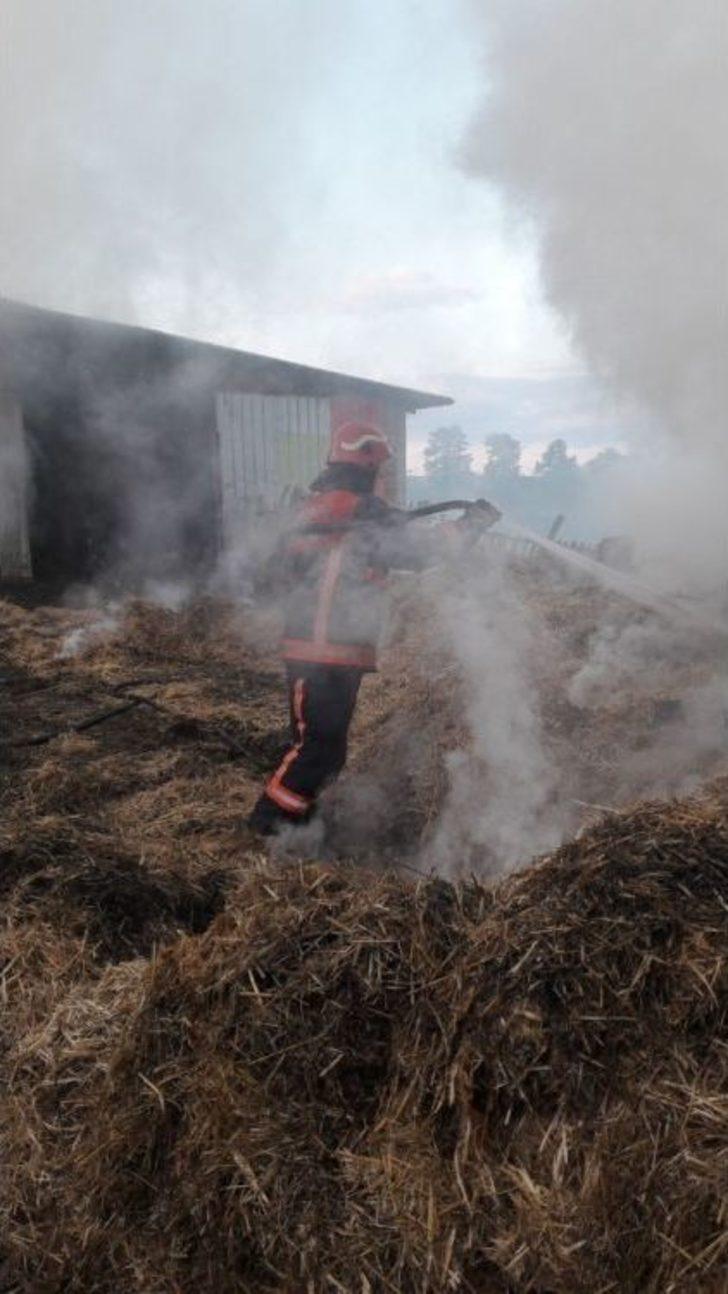 Bin 500 Saman Balyası Yandı G5