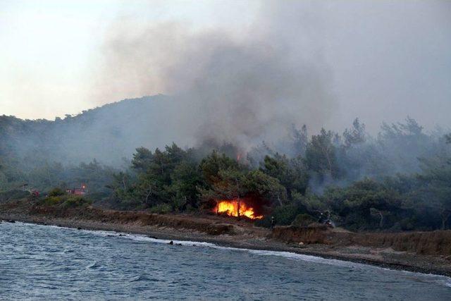 Datça’daki Orman Yangını Söndürüldü