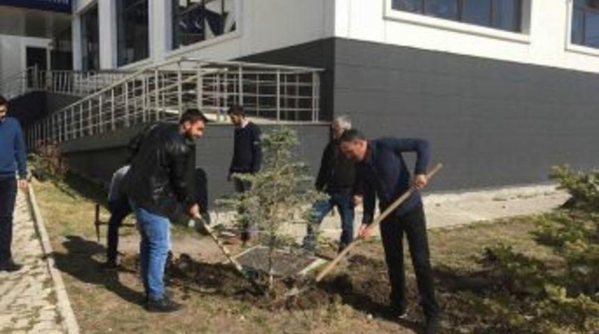 A&uuml;&rsquo;de &Ouml;ğrenciler Fidan Dikti