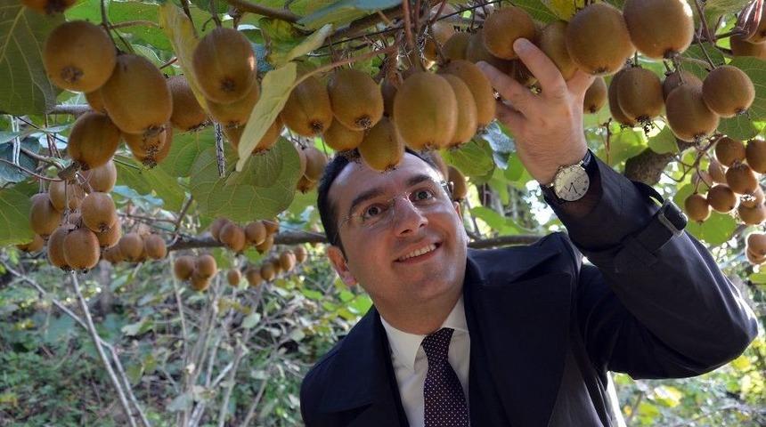 Kaymakam Kivi Bah&ccedil;elerine Hayran Kaldı