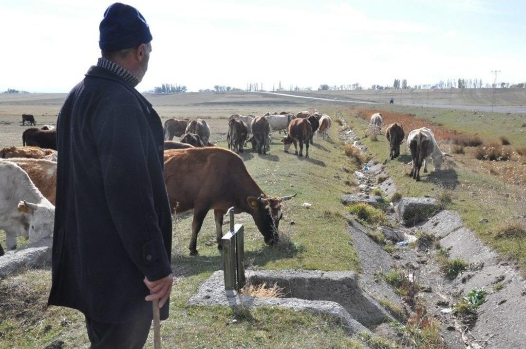 Kars Ziraat Odası Başkanı Ertaş, "s&uuml;t &Uuml;r&uuml;nlerine Zam Geldi, S&uuml;te Zam Gelmedi"