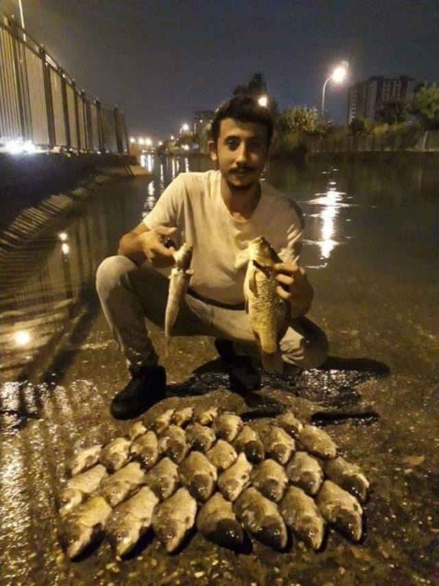 Balık Tutkusu Canından Ediyordu 2