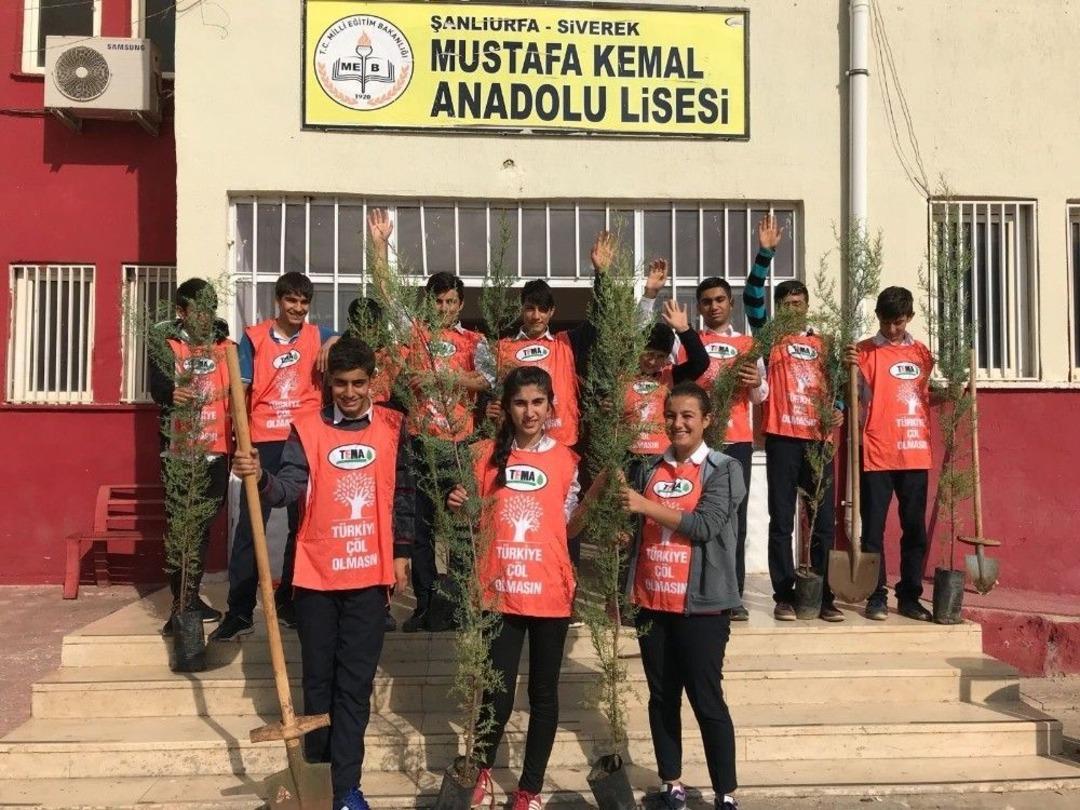 Siverek&rsquo;te &Ouml;ğrenciler Ağa&ccedil; Dikti