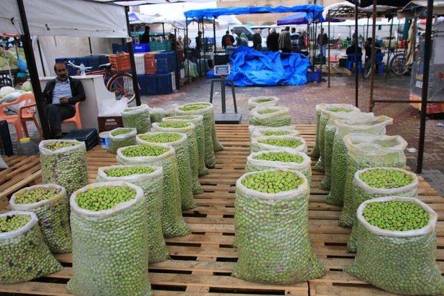 Yeşil Zeytin Tezgahlardaki Yerini Aldı