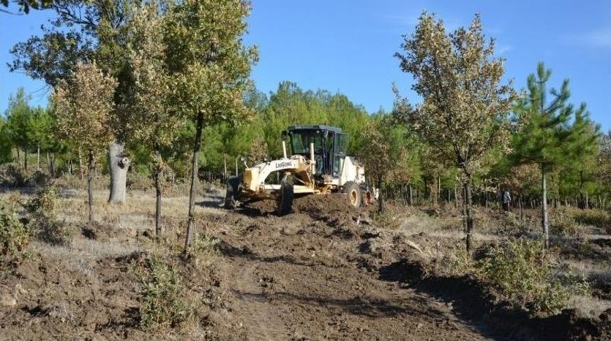 Gediz Yaşam Parkı&rsquo;na Y&uuml;r&uuml;y&uuml;ş Parkuru, Bisiklet Yolu Ve Patent Pisti Yapımı