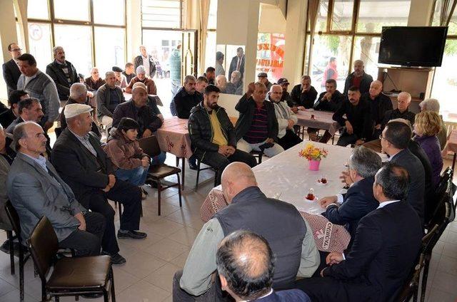 Vali Ceylan Zeytin Hasadı Yaptı