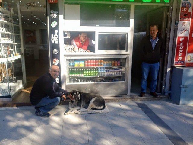 Zeytinburnu&rsquo;da K&ouml;pekten Korkarak D&uuml;şen Adam Yaşananları Anlattı 2