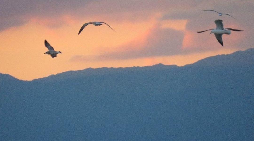 Beyşehir G&ouml;l&uuml; Milli Parkı&rsquo;nda G&uuml;neş Her G&uuml;n H&uuml;z&uuml;nle Batıyor