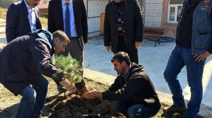 Akkuş&rsquo;ta 72 Caminin Bah&ccedil;esi Ağa&ccedil;landırıldı