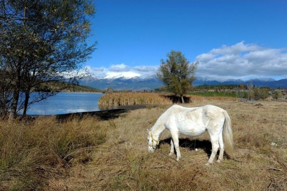 G&ouml;k&ouml;z G&ouml;leti B&uuml;y&uuml;l&uuml;yor