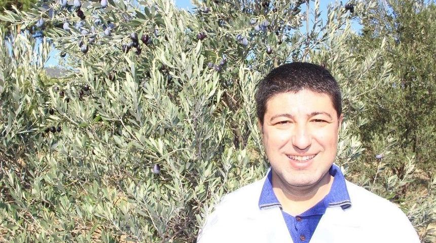 (&ouml;zel Haber) Kaliteli Zeytinyağının P&uuml;f Noktalarından Birisi Koklayarak Almak