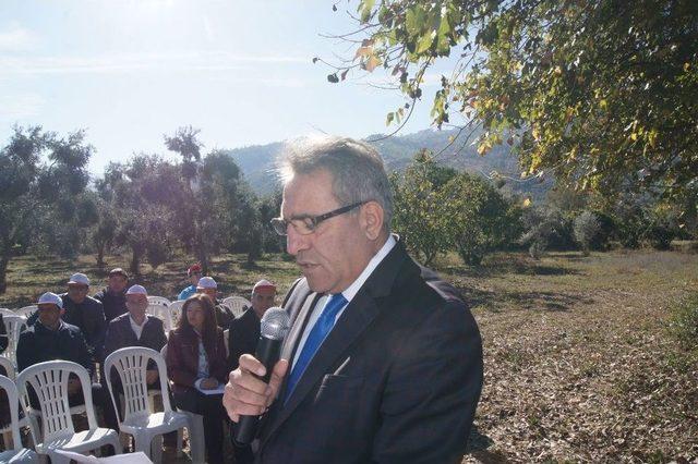 Bozdoğan’da Yer Fıstığı İçin Tarla Günü Düzenlendi