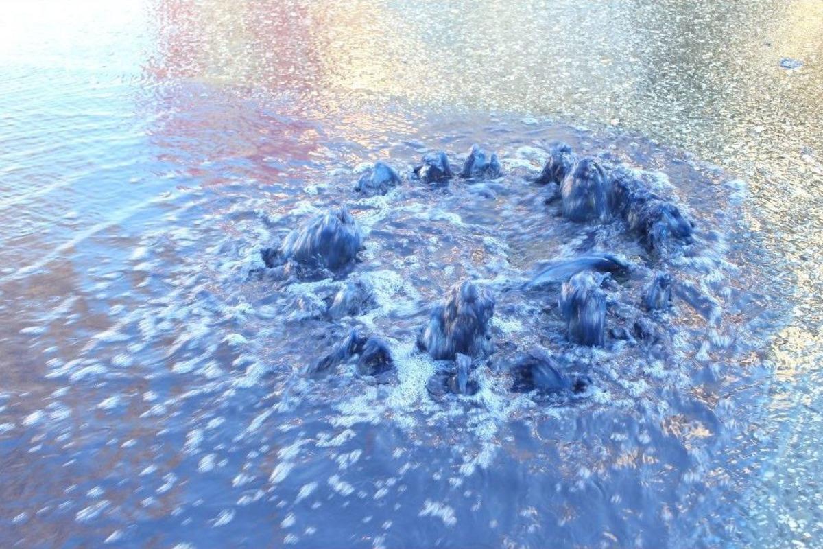 (&ouml;zel Haber) Sokaktaki Lacivert Su Vatandaşlarda Merak Uyandırdı