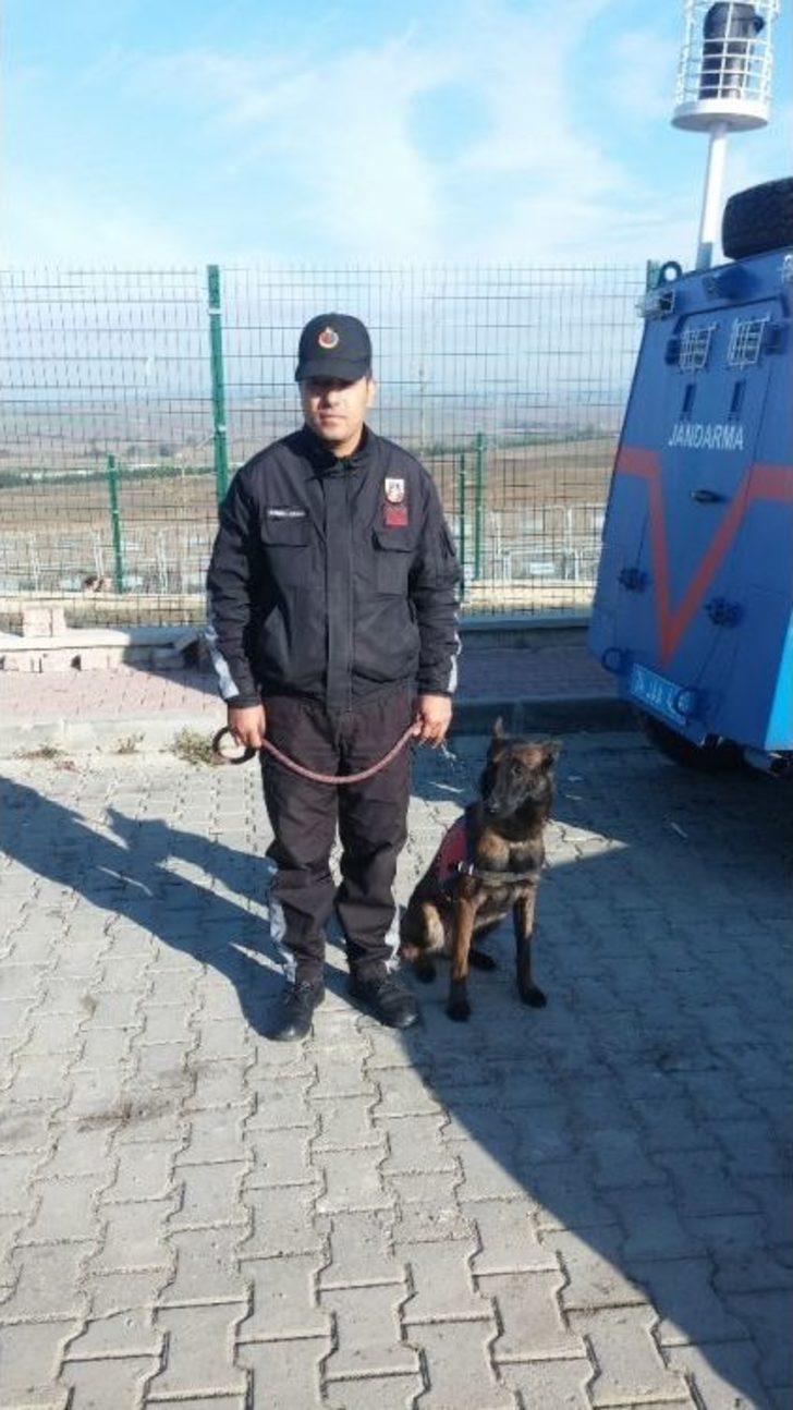 Sarallar Şahinler Davası Yoğun Güvenlik Önlemleri Altında Başladı G5