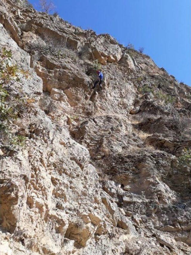 Batman’da Kayalıklarda Mahsur Kalan Keçi Kurtarıldı 1