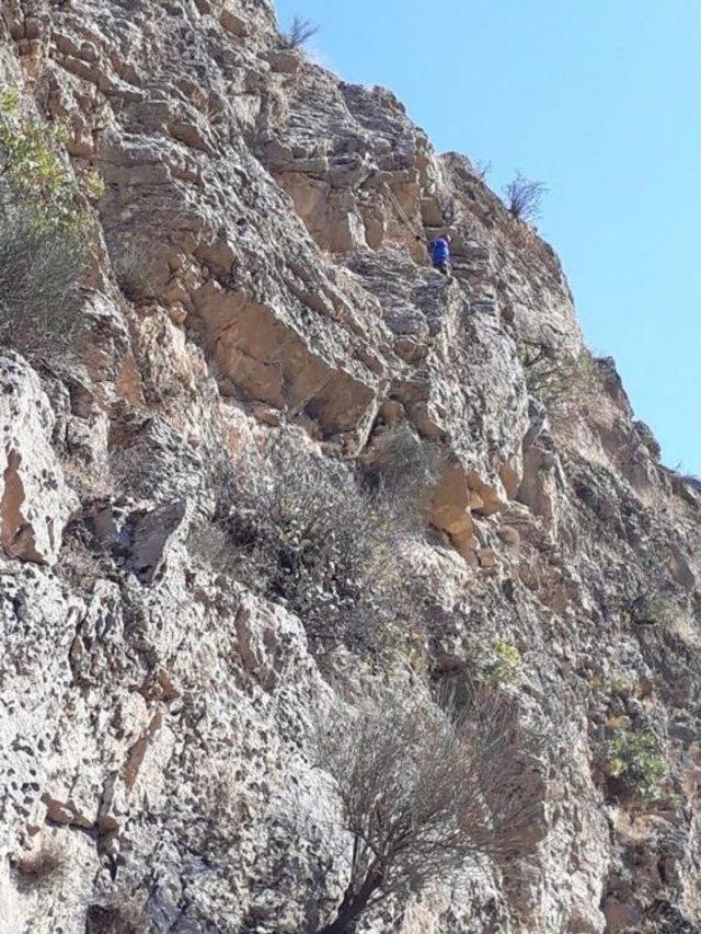 Batman’da Kayalıklarda Mahsur Kalan Keçi Kurtarıldı 2