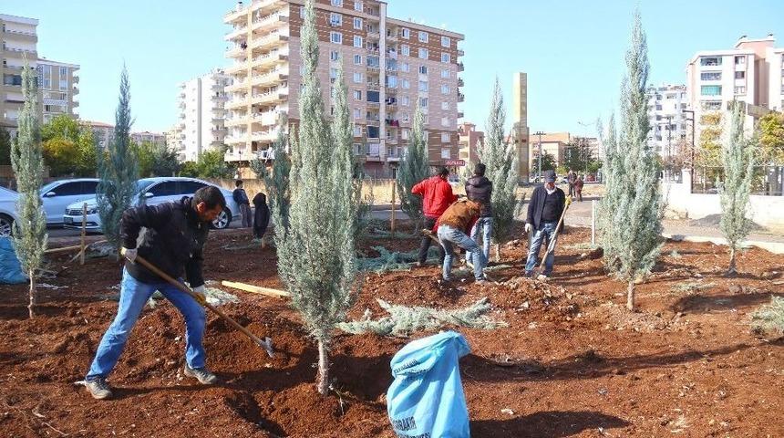 Bağlar&rsquo;da Yeşil Alan Ağa&ccedil;landırıldı