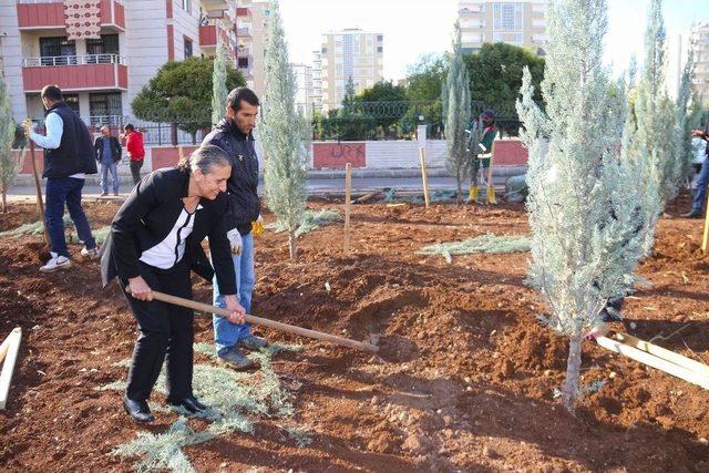 Bağlar&rsquo;da Yeşil Alan Ağa&ccedil;landırıldı 1