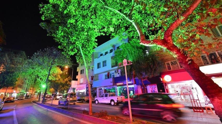 Tayyareci Mehmet Ali Caddesi Işıl Işıl