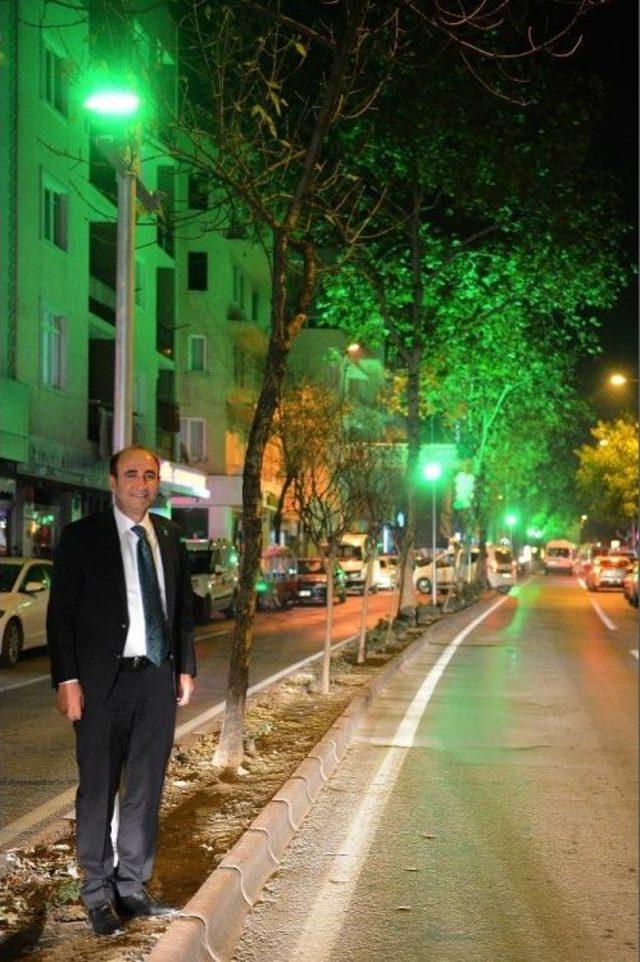 Tayyareci Mehmet Ali Caddesi Işıl Işıl