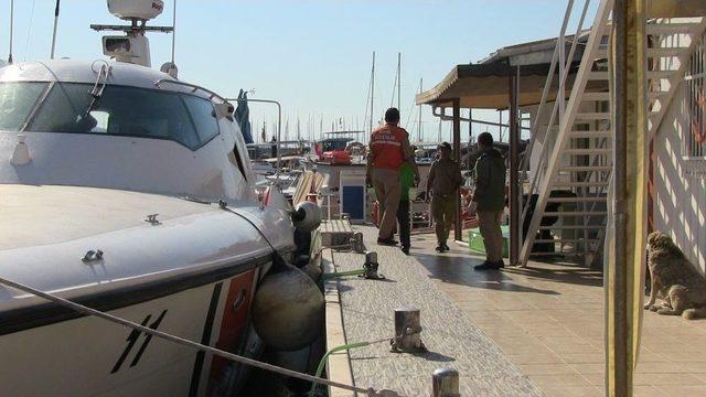 Bodrum İle Yunanistan Arasında Göçmen Teknesi Battı: 2 Ölü, 8 Kayıp