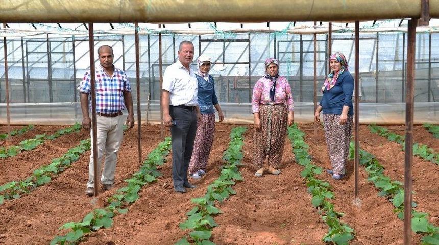 Asat, &Ccedil;ift&ccedil;inin Y&uuml;z&uuml;n&uuml; G&uuml;ld&uuml;rd&uuml;