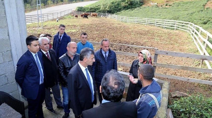 Vali Bektaş: "hayvancılığı &Ouml;nemsiyoruz"