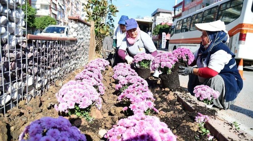 Adana&rsquo;da Kasımpatı Zamanı