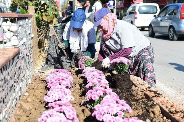 Adana’da Kasımpatı Zamanı 1