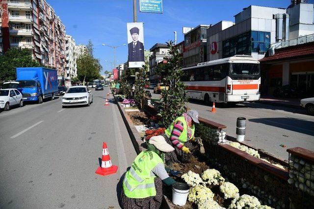 Adana’da Kasımpatı Zamanı 2