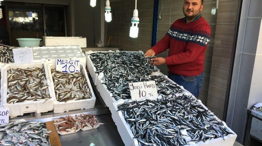 Fatsa&rsquo;da Hamsi 10 Tl