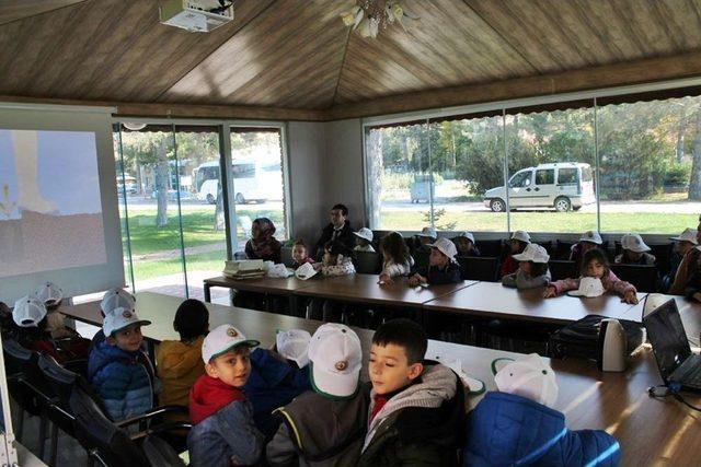 Anasınıfı Öğrencilerinden Sivas Orman Fidanlık Müdürlüğü’ne Ziyaret