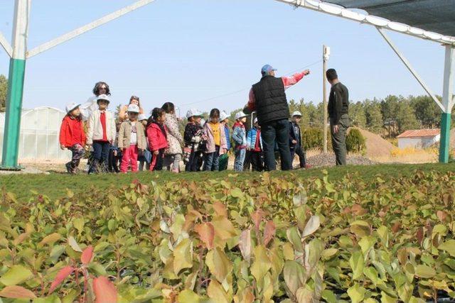 Anasınıfı Öğrencilerinden Sivas Orman Fidanlık Müdürlüğü’ne Ziyaret