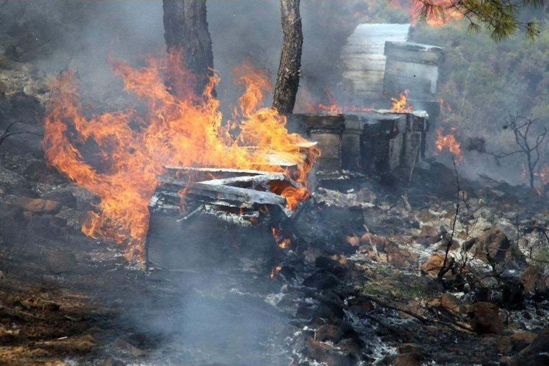 Orman Yangınında Arı Kovanları K&uuml;l Oldu