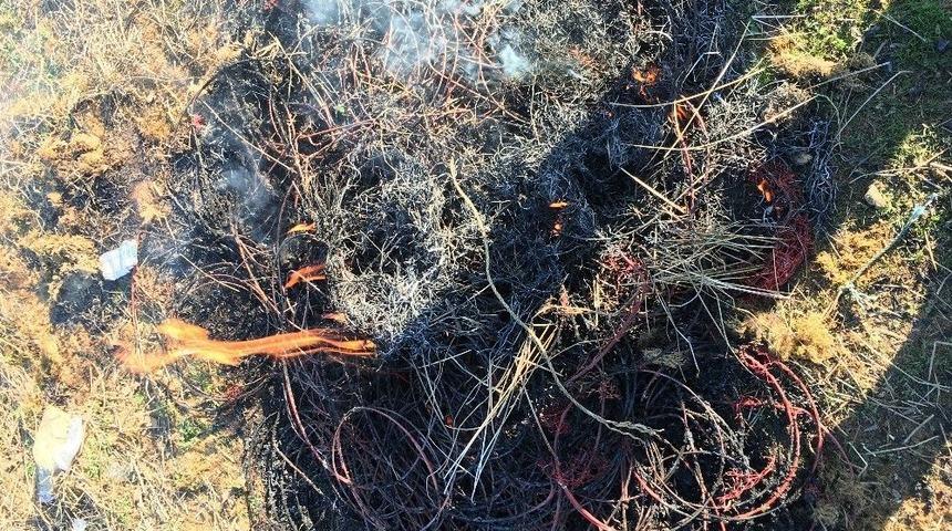 Jandarmadan Ka&ccedil;ak Kerevit Avcılığı Yapanlara Su&ccedil;&uuml;st&uuml;