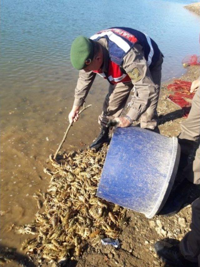 Jandarmadan Ka&ccedil;ak Kerevit Avcılığı Yapanlara Su&ccedil;&uuml;st&uuml; 2