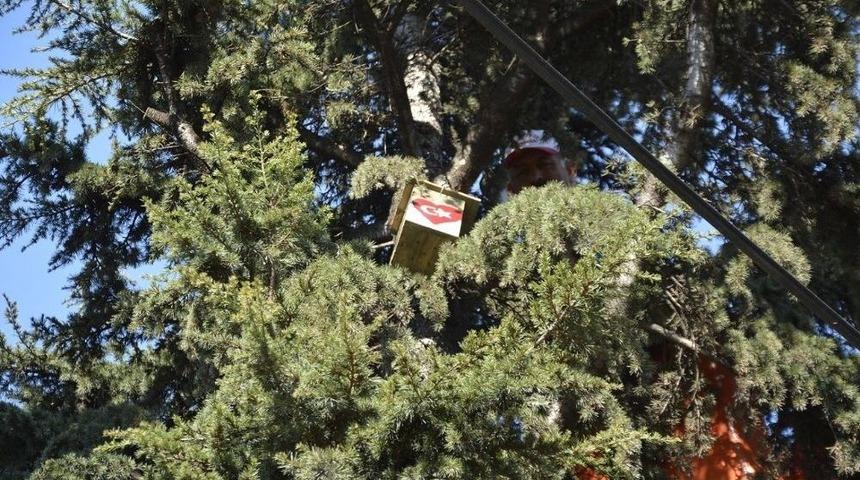 K&ouml;rfez&rsquo;de &Ouml;ğrenciler Ağa&ccedil;lara Kuş Yuvası Koydu