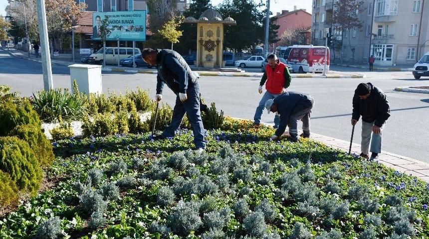 Aksaray Belediyesi Kışlık &Ccedil;i&ccedil;ek Ekiyor