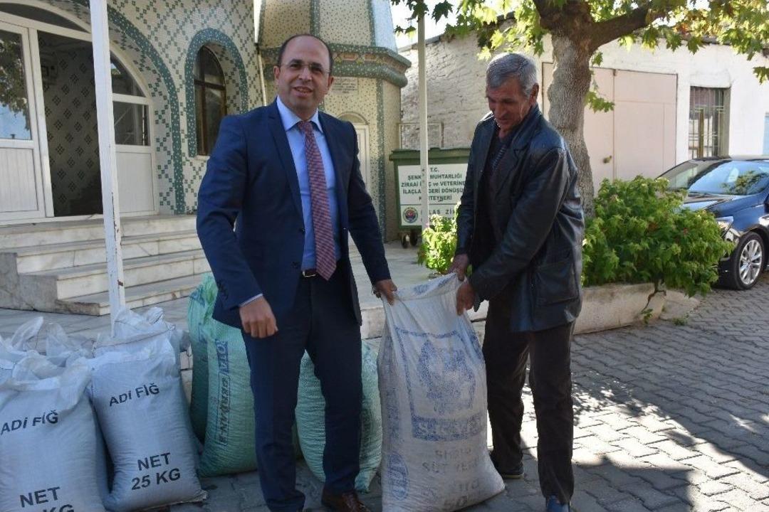 Milas&rsquo;ta Organik Tarım İ&ccedil;in Yeşil G&uuml;bre Desteği