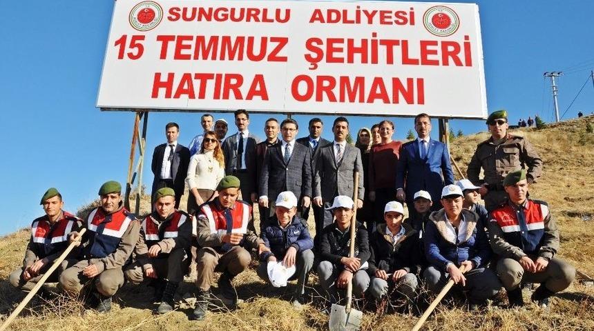 Sungurlu&rsquo;da Asker Ve &Ouml;ğrenciler Fidan Dikti