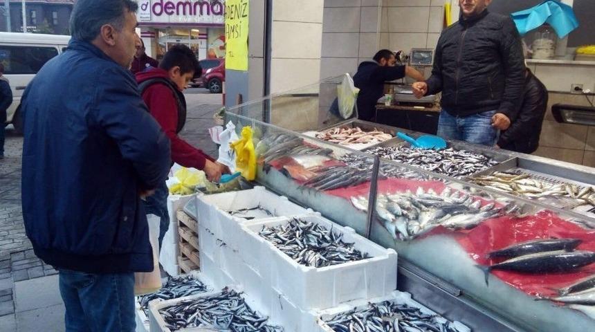 Karadeniz&rsquo;de Hamsi Bolluğu