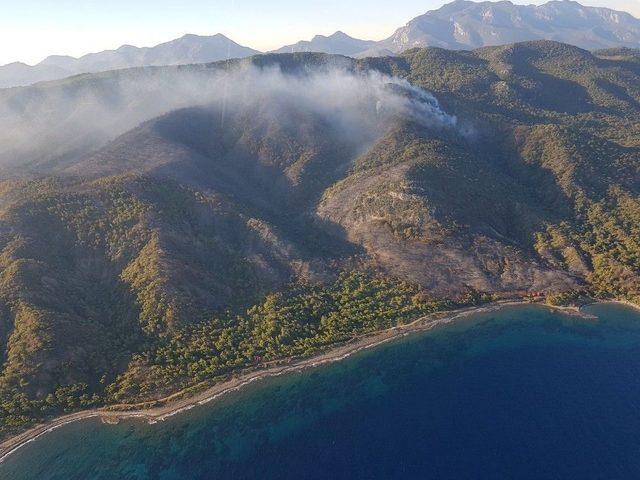 Araz&ouml;z Şof&ouml;r&uuml; İzinli Olduğu G&uuml;n Gidip Ormanı Yakmış 1