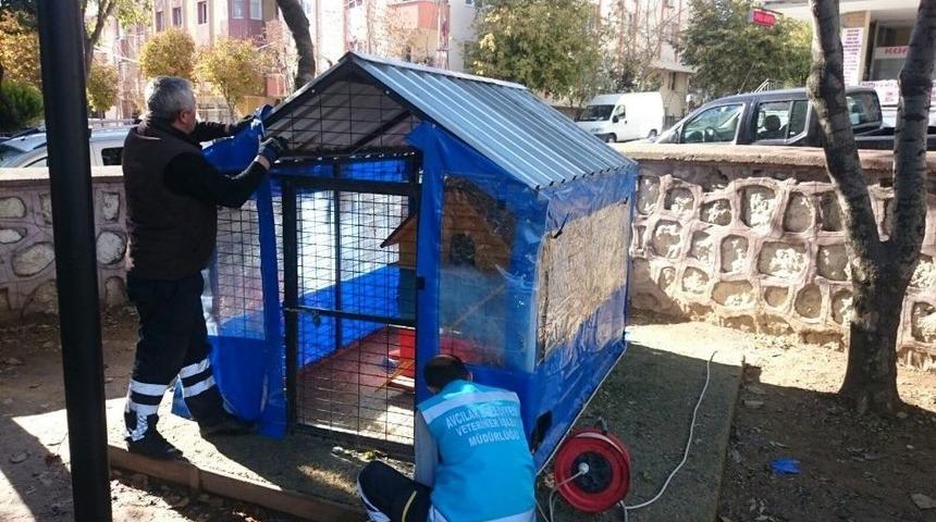 Avcılar&rsquo;da Sokak Hayvanları Kışı Sıcak Ge&ccedil;irecek