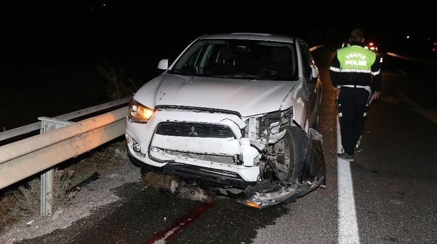 Otomobil Domuz S&uuml;r&uuml;s&uuml;ne &Ccedil;arptı