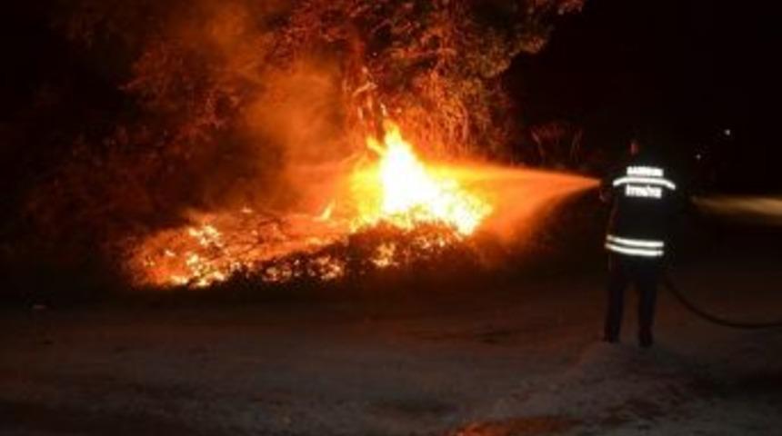 Ağa&ccedil;lık Alanda &Ccedil;ıkan Yangın S&ouml;nd&uuml;r&uuml;ld&uuml;