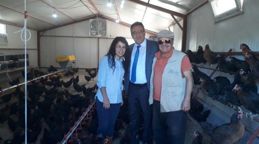 Gezer Tavuklar &Uuml;retime Başladı